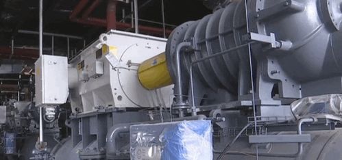 农产品精深加工赋能乡村振兴 高质量项目引领粮菜增值与产业协同发展